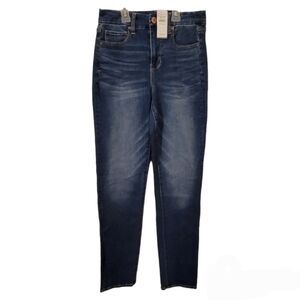 American Eagle Curvy Hi-Rise Skinny  Jeans
